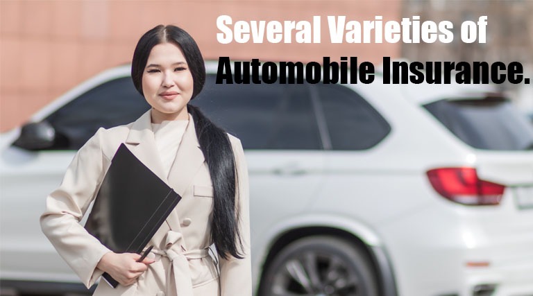 There are Several Varieties of Automobile Insurance
